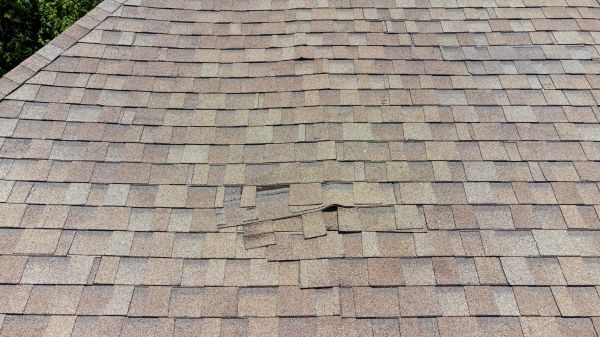 Roof Leak Inspection Service