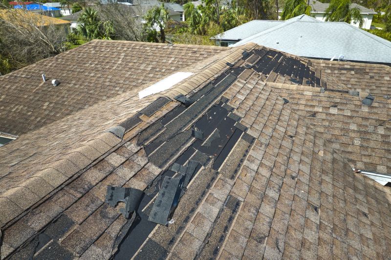 Replacing Damaged Shingles