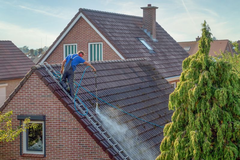 Professional Roofing Team